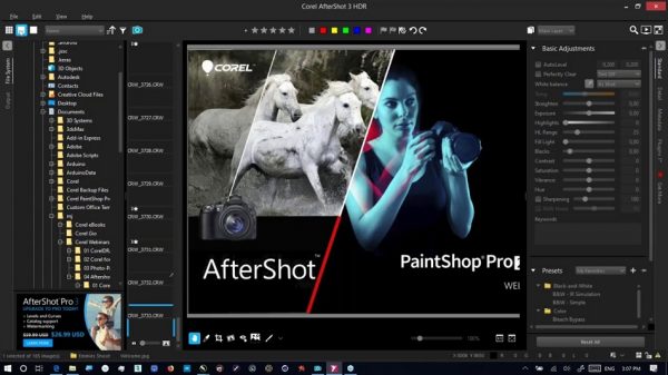 Corel PaintShop Pro 2020 Ultimate for Windows