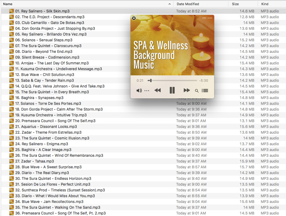 Spa & Wellness Background Music Screenshot