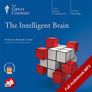 The Intelligent Brain
