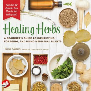 Healing Herbs: A Beginner's Guide to Identifying, Foraging, and Using Medicinal Plants