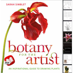 Botany for the Artist: An Inspirational Guide to Drawing Plants
