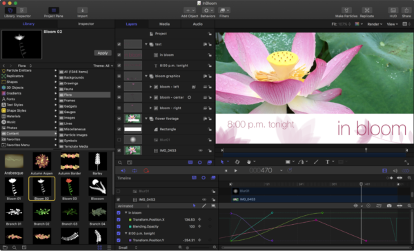 Motion 2021 v5.5.3 Full Version MacOS