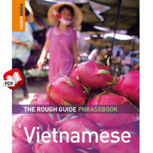 The Rough Guide to Vietnamese Dictionary Phrasebook 3