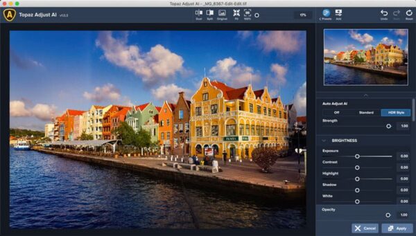 Topaz Adjust AI 2021 v1.0.6 x64 Full Version for Windows