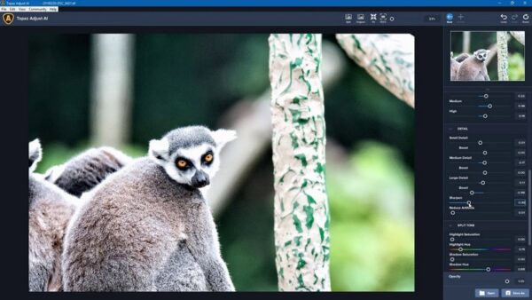 Topaz Adjust AI 2021 v1.0.6 x64 Full Version for Windows