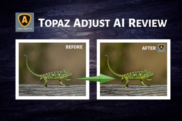 Topaz Adjust AI 2021 v1.0.6 x64 Full Version for Windows