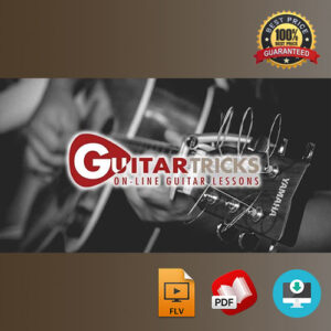 Learn Guitar Tricks Video Lessons Tutorial by GuitarTricks