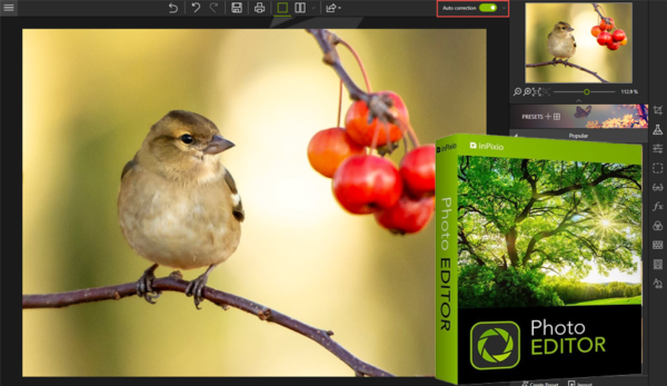 InPixio Photo Editor 10 Pro (2021) Full Version Lifetime