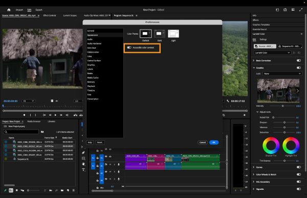 Adobe Premiere Pro 2025 Full Version for Windows